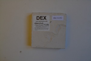 DSC_0909